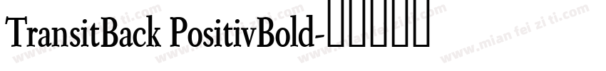 TransitBack PositivBold字体转换